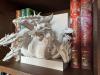 Бюст Гидры - модель книжной полки4